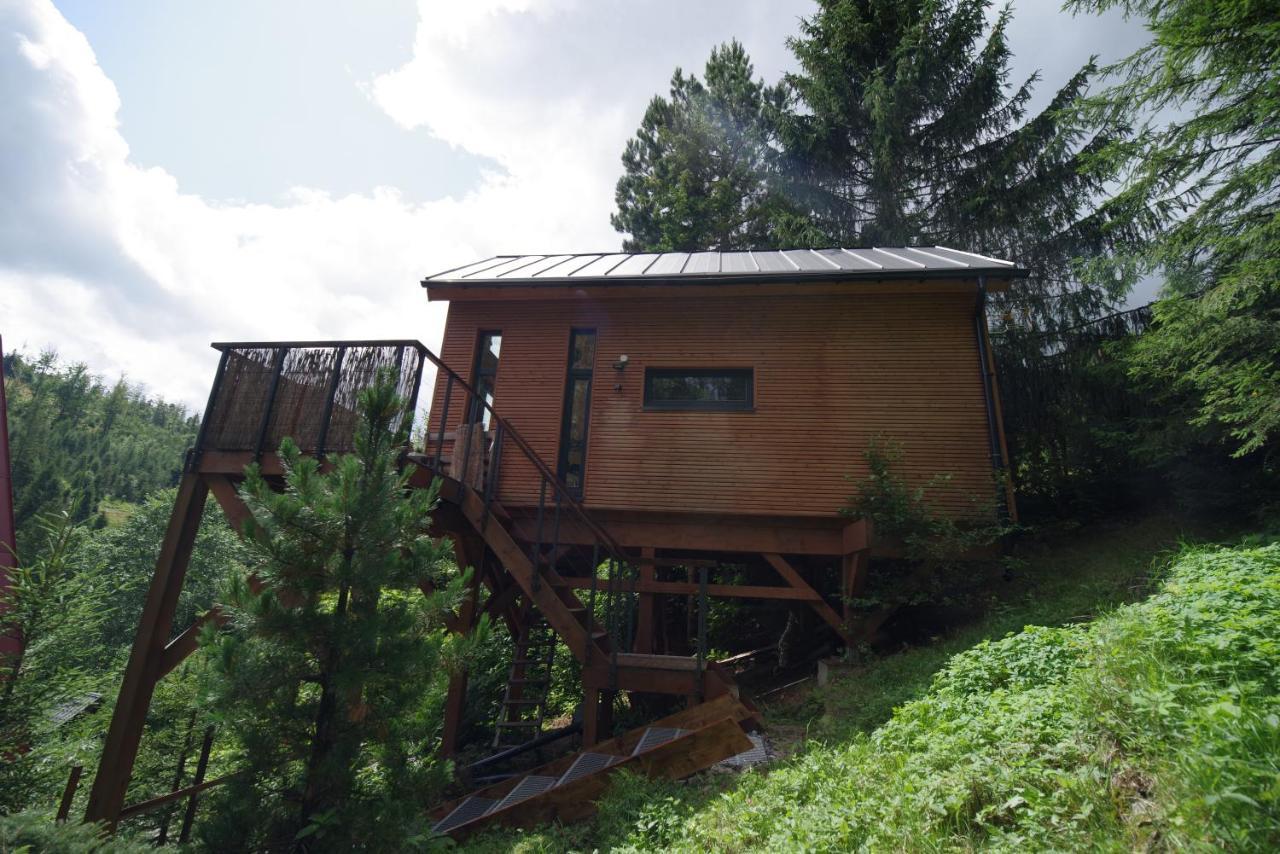 Ski House Szczyrk - Domek Na Kurzej Lapce Buitenkant foto
